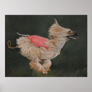 Afghan Hound Coursing Reproduktion Poster Art