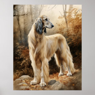 Afghan Hound Dog Art Print Poster