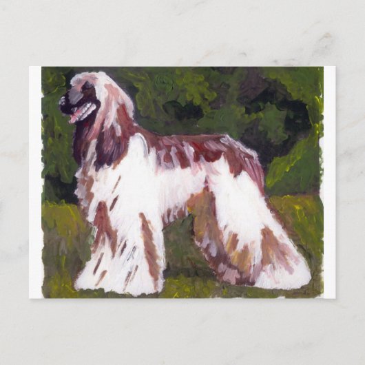 Afghan Hound Dog Postkarte (Vorderseite)