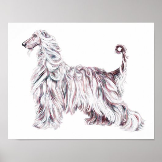 Afghan Hound Elegance Poster (Vorne)