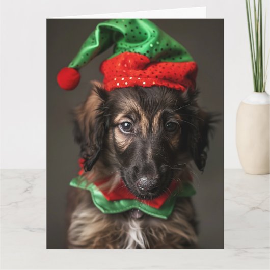Afghan Hound Elf Welpe Weihnachtskarte Karte (Vorderseite)