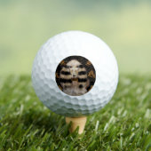 AFGHAN HOUND GOLD  GOLFBALL (Insitu T-Shirt)