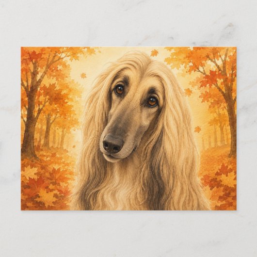 Afghan Hound Herbstwald Hund Postkarte (Vorderseite)