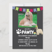 Afghan Hound Hund Birthday Foto Einladung (Vorderseite)