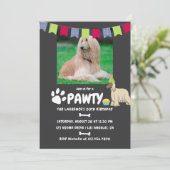 Afghan Hound Hund Birthday Foto Einladung (Stehend Vorderseite)