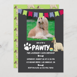 Afghan Hound Hund Birthday Foto Einladung