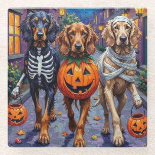 Afghan Hound Hunde beim Trick-or-Treat an Hallowee Glasuntersetzer
