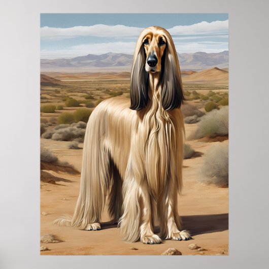 Afghan Hound - Hundekunst drucken Poster (Vorne)