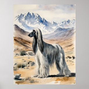 Afghan Hound - Hundekunst drucken Poster