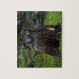 Afghan Hound Jigsaw Puzzle