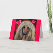 AFGHAN HOUND KARTE (Vorderseite)