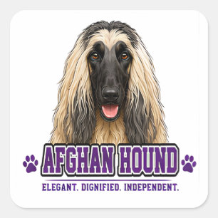 🐾 Afghan Hound Liebhaber 🐾 Quadratischer Aufkleber