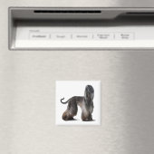Afghan Hound Magnet (In Situ (Geschirrspüler))