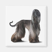 Afghan Hound Magnet (Vorne)