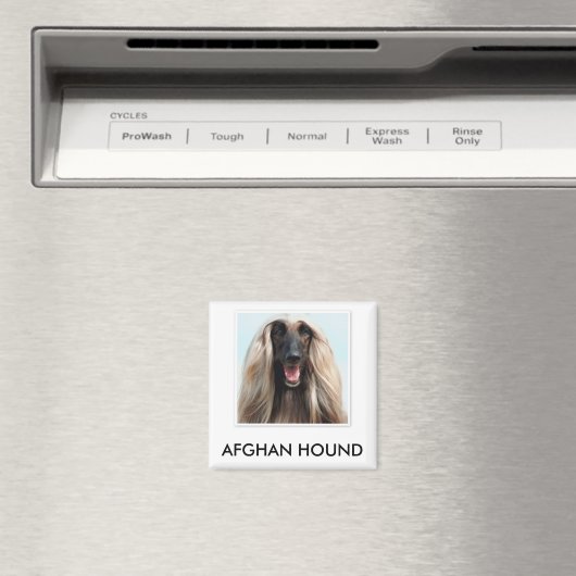 Afghan Hound Magnet (In Situ (Geschirrspüler))