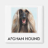 Afghan Hound Magnet (Vorne)