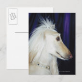 Afghan Hound mit Tiara Postkarte (Vorne/Hinten)