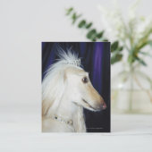 Afghan Hound mit Tiara Postkarte (Stehend Vorderseite)