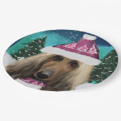 Afghan Hound Pappteller (Schrägansicht)