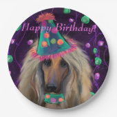 AFGHAN HOUND PAPPTELLER (Vorderseite)