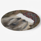 Afghan Hound Pappteller (Schrägansicht)