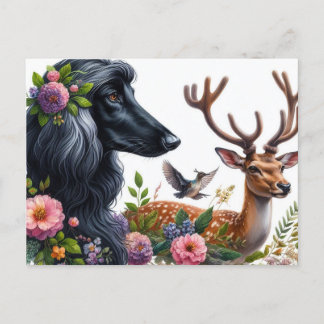 Afghan Hound Postcard Postkarte
