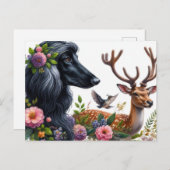 Afghan Hound Postcard Postkarte (Vorne/Hinten)