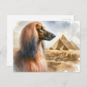 Afghan Hound Postcard Postkarte (Vorne/Hinten)