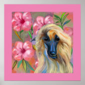 Afghan Hound Poster (Vorne)