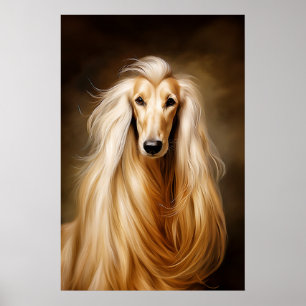 Afghan Hound Poster