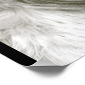 Afghan Hound Poster (Ecke)