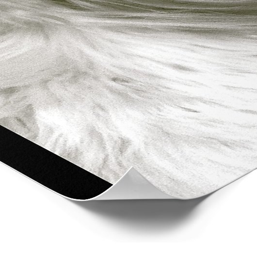 Afghan Hound Poster (Ecke)