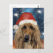 AFGHAN HOUND POSTKARTE (Vorne/Hinten)