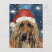 AFGHAN HOUND POSTKARTE (Vorderseite)