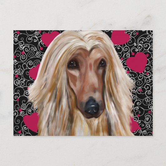 Afghan Hound Postkarte (Vorderseite)