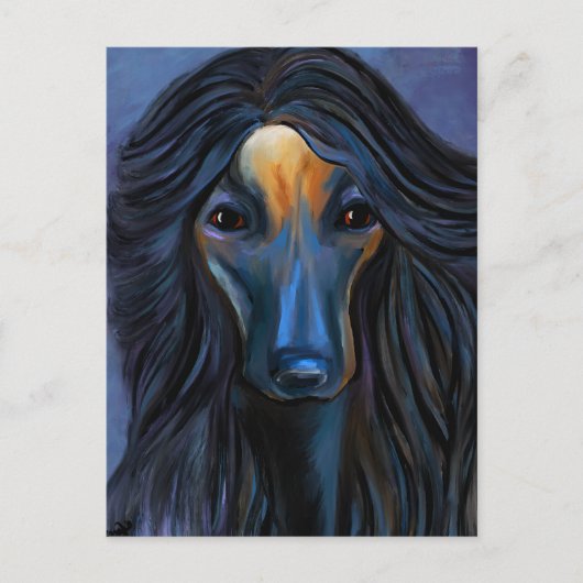 Afghan Hound Postkarte (Vorderseite)