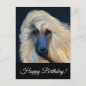 Afghan Hound Postkarte (Vorderseite)
