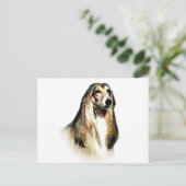 Afghan Hound Postkarte (Stehend Vorderseite)
