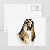 Afghan Hound Postkarte (Vorne/Hinten)