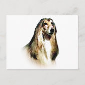 Afghan Hound Postkarte (Vorderseite)