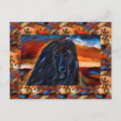 Afghan Hound Postkarte (Vorderseite)