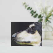 Afghan Hound Postkarte (Stehend Vorderseite)