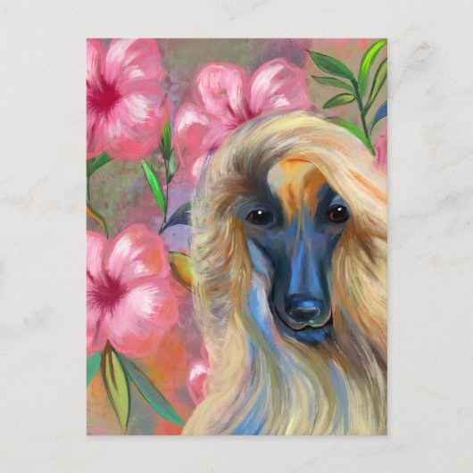 Afghan Hound Postkarte (Vorderseite)