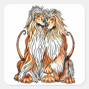 Afghan Hound Puppy Liebe Quadratischer Aufkleber