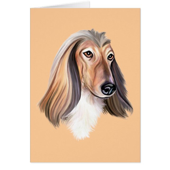 Afghan Hound Red HS (Vorne)
