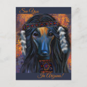 Afghan Hound Southwest Postkarte (Vorderseite)