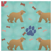 Afghan Hound Stoff (Nahaufnahme)