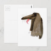 Afghan Hound, tony fernandes Postkarte (Vorne/Hinten)