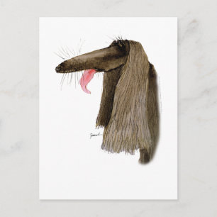 Afghan Hound, tony fernandes Postkarte