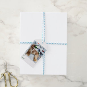 Afghan Hound Weihnachtsgeschenke Tags Geschenkanhänger